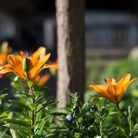 Apartmán Milcherhof