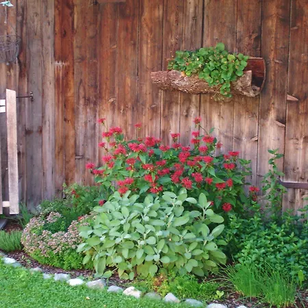 Apartmán Milcherhof *