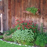 Apartament Milcherhof *