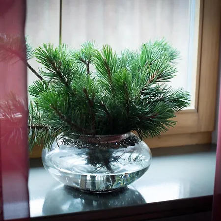 公寓 Milcherhof 米耶德斯